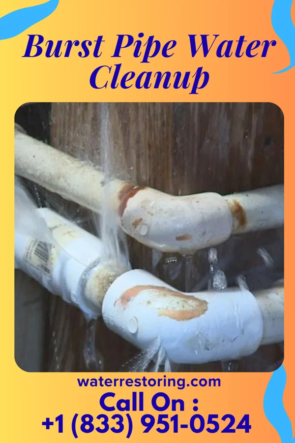 Burst Pipe Water Cleanup in Warren AFB, WY