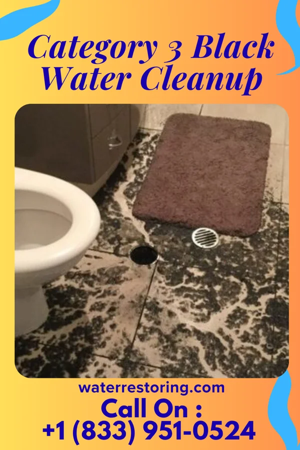 Category 3 Black Water Cleanup in Warren AFB, WY