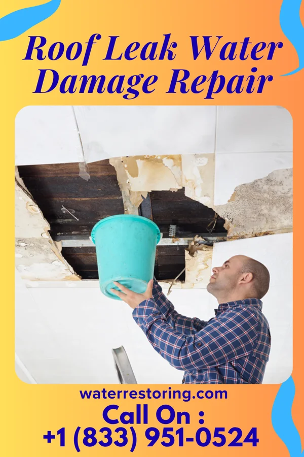 Roof Leak Water Damage Repair in Warren AFB, WY